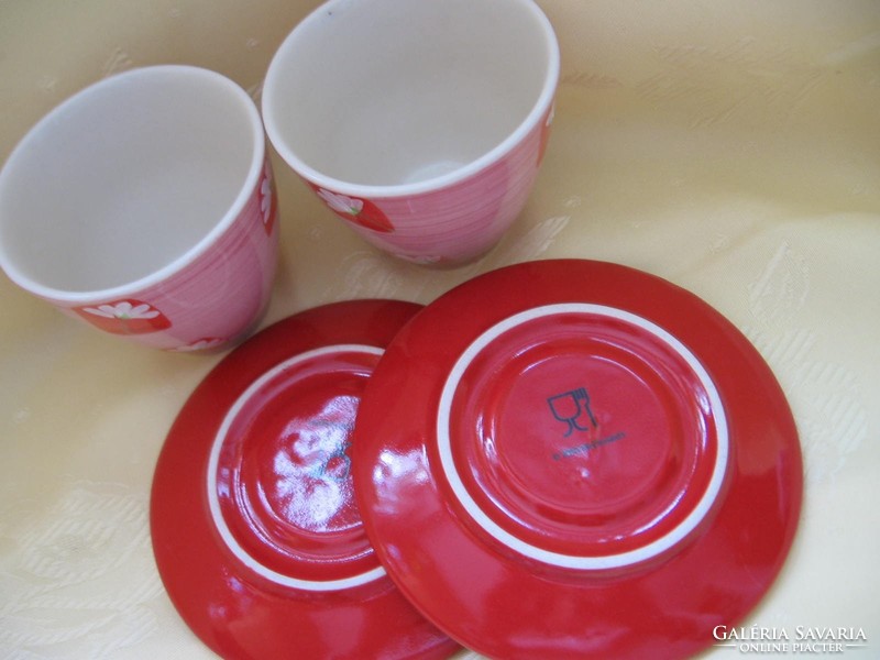 Shabby pink-red tea and coffee hand-painted cup 1 set