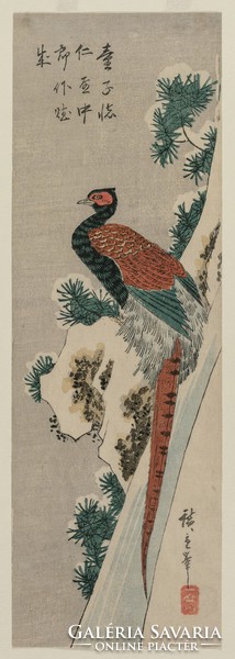 Hiroshige - Rézfácán - reprint