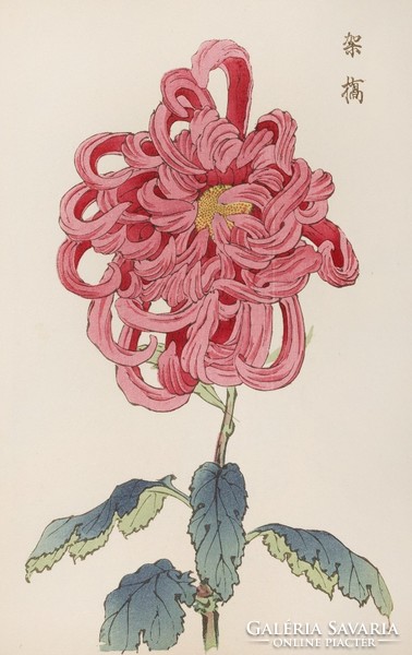 Hasegawa - Japán virágcsodák 25. - vászon reprint vakrámán