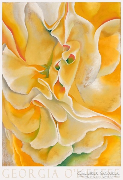 Modern art poster georgia o'keeffe yellow vetch 1925 abstract flower painting macro