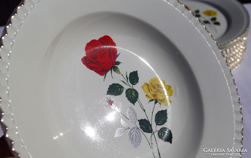 Antique French Sarreguemines Rose Patterned Rose 16-Piece Plate Set Plate Novel Condition