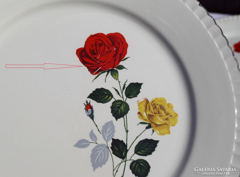 Antique French Sarreguemines Rose Patterned Rose 16-Piece Plate Set Plate Novel Condition