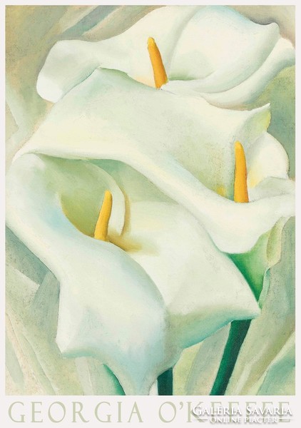 Modern art poster georgia o'keeffe kala lily 1924 white flower painting plant nature