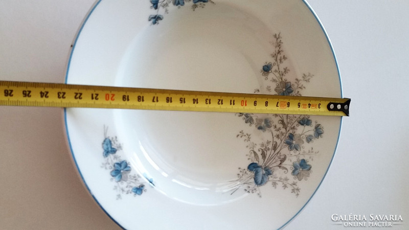 Régi porcelán falitányér dísztányér kék mezeivirágos népi tányér 23 cm