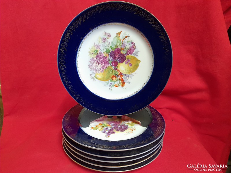 Alt wien fischer & mieg pirkenhammer set of 6 porcelain plates with fruit and flower cakes.