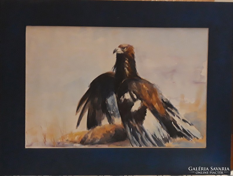Tarcsay Béla - Kőszáli sas - akvarell - 31 cm x 46 cm
