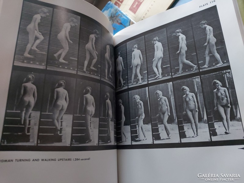 Nagy könyv 4789 fotó, a mozgásban lévő emberi test The human figure in motion, Eadweard Muybridge