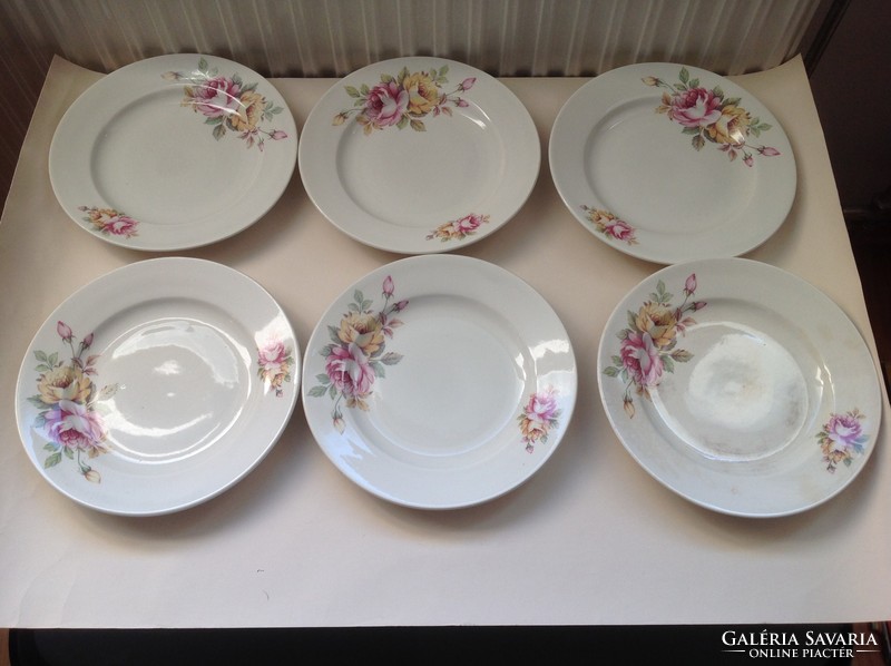 Porcelain plates / 14 pcs / - ditmar-urbach rarity