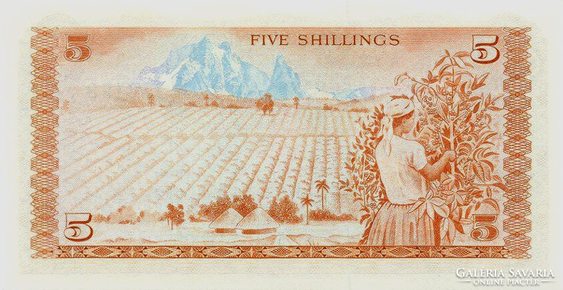 Kenya 5 Shillings 1978 UNC