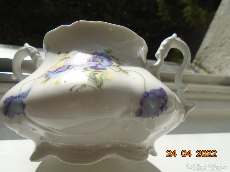 Antik Altwien "AUSTRIA" látványos szecessziós kézzel festett virágos számozott teás cukortartó