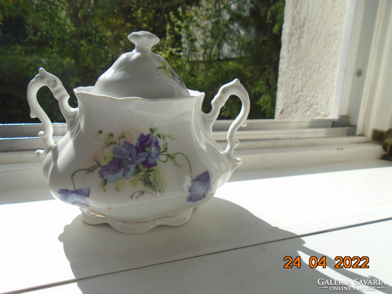 Antik Altwien "AUSTRIA" látványos szecessziós kézzel festett virágos számozott teás cukortartó