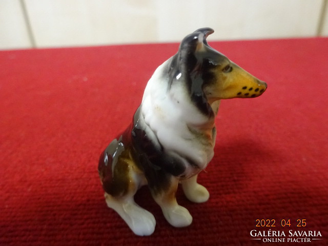 Német porcelán figura, skótjuhász kutya, magassága 5 cm. Vanneki! Jókai.