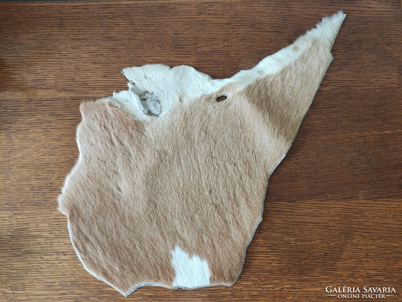 Small piece of cowhide