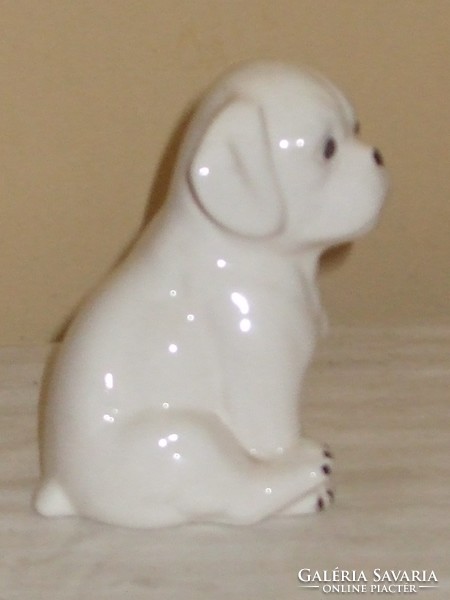 White boxer dog statue.