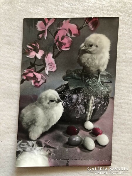 Régi Húsvéti, színezett képeslap, kiscsibék, tojás, virág