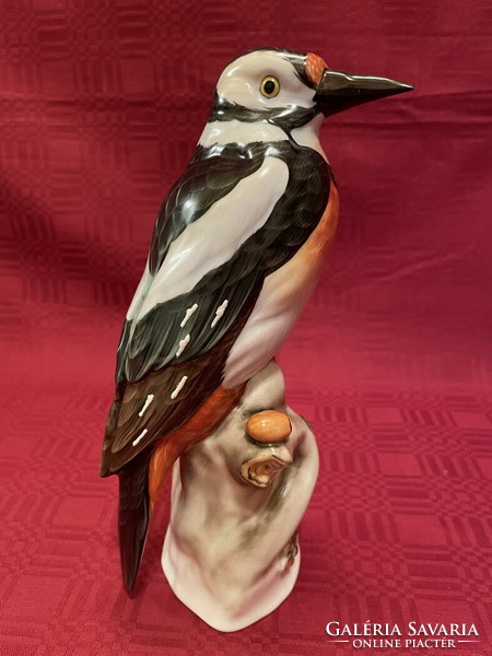 Herend beautifully painted woodpecker