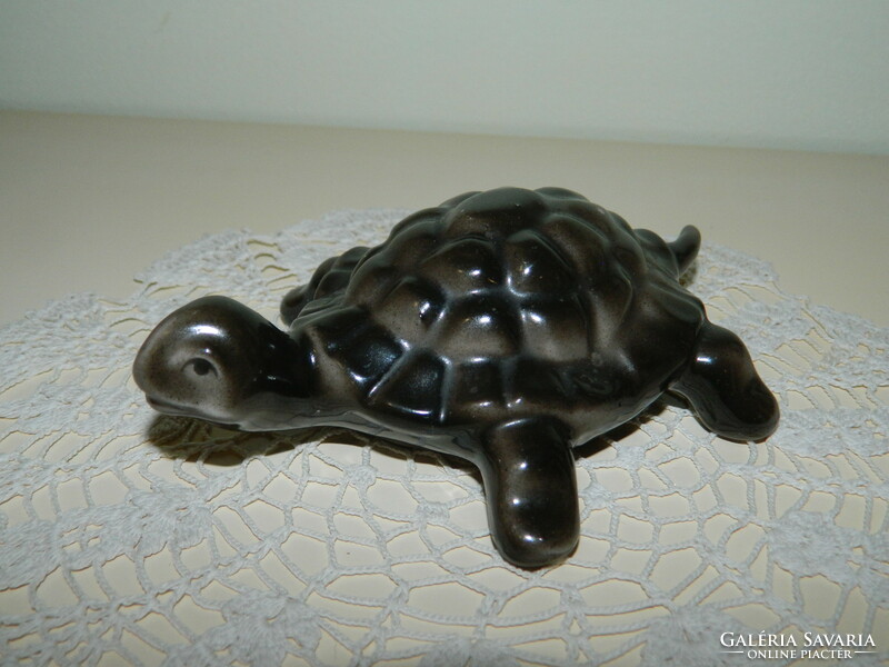 Hollóházi teknősbéka