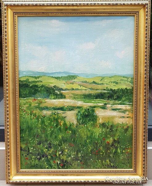 Abraham Raphael (1929-2014): flowering field, 80x60 cm.