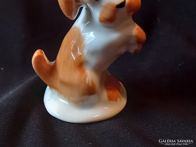 Aquincumi miniatűr aranyos kutya