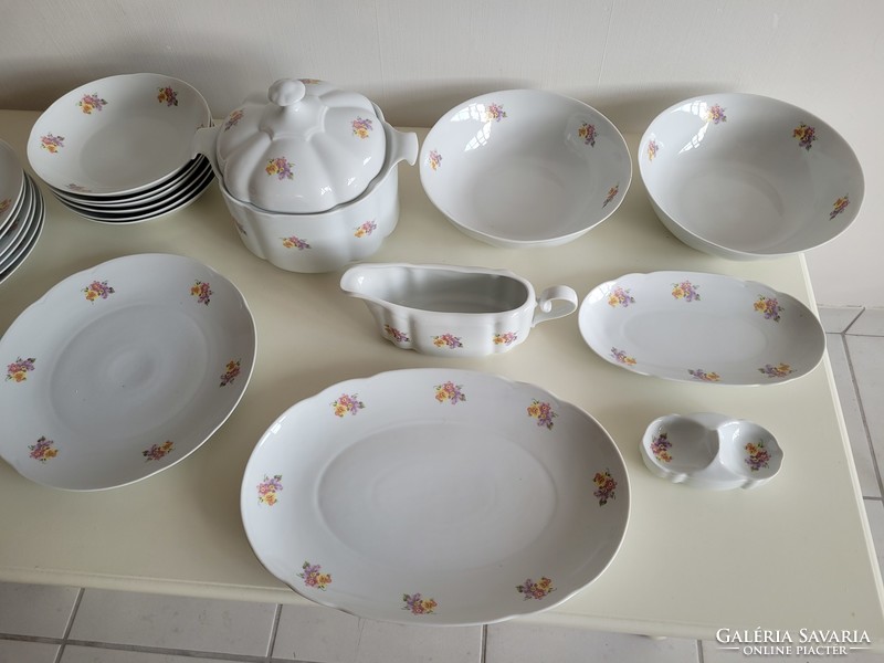 Plate of old tableware with floral porcelain alba julia soup sauce