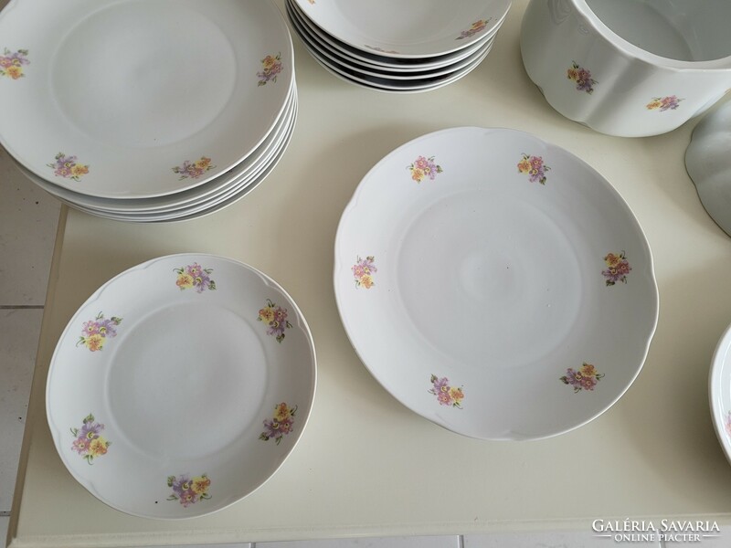 Plate of old tableware with floral porcelain alba julia soup sauce