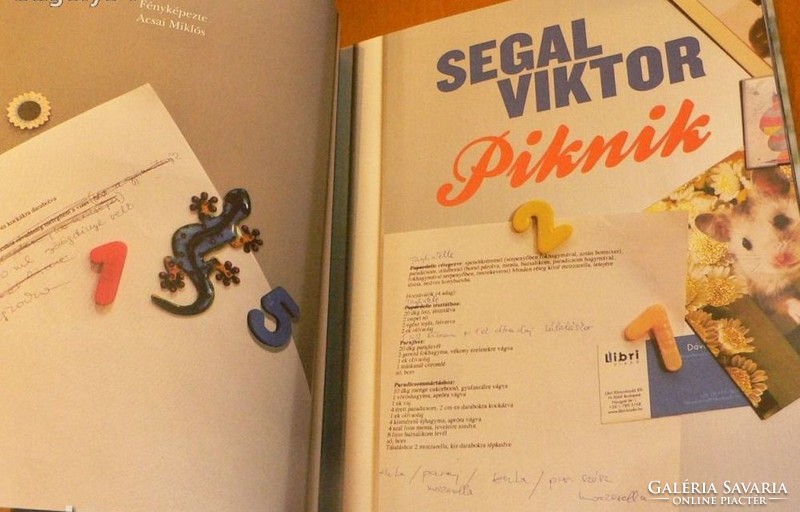 Viktor Segal: Picnic - 81 recipes simply free