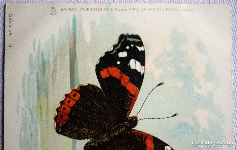 Antik R Tuck üdvözlő litho képeslap pillangók