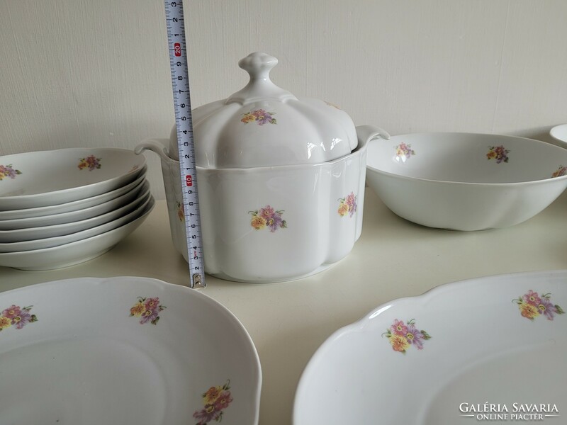 Plate of old tableware with floral porcelain alba julia soup sauce