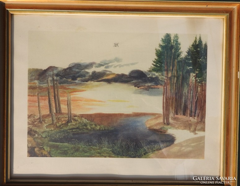 Old marked landscape print framed