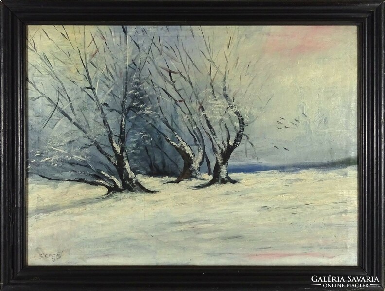 1I785 xx. Century painter with seres sign: winter landscape with birds