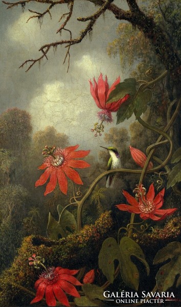 Martin heade - hummingbird and passion flower - canvas reprint