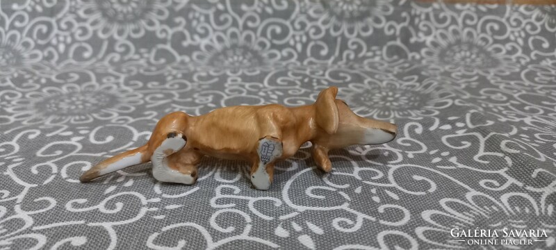 Old-fashioned rarity dachshund