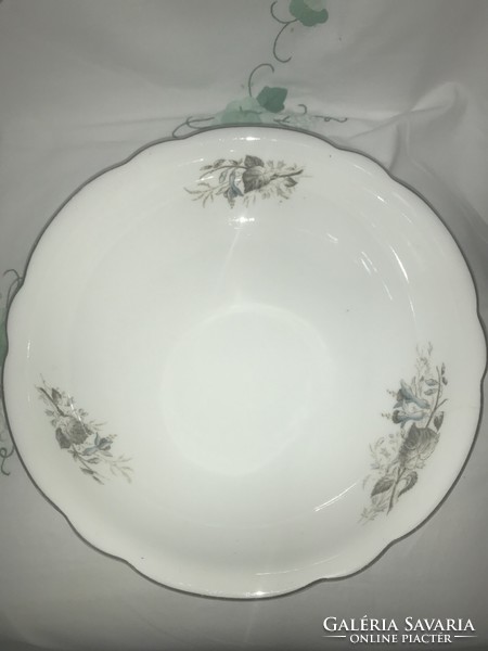 Garnished Schlaggenwald porcelain bowl painted with vignette