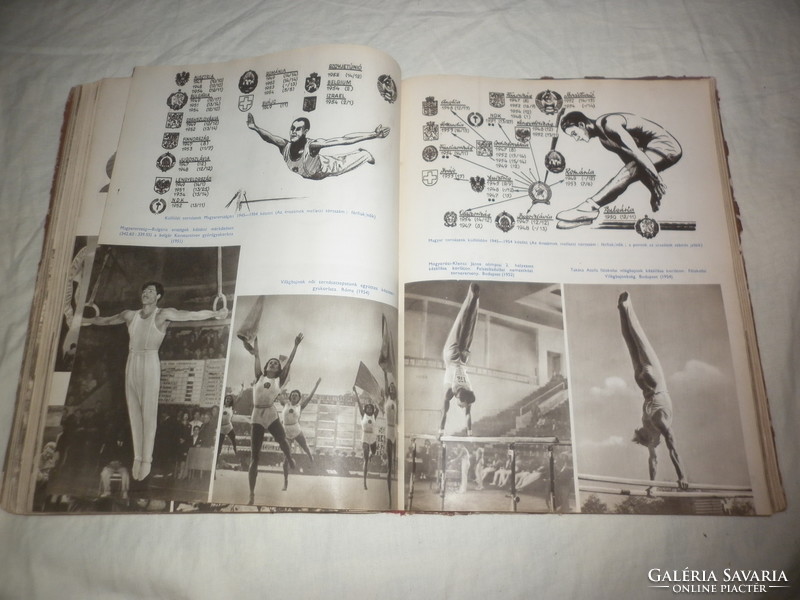 Régi könyv szabad magyar sport tíz éve 1955