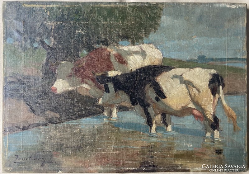 Zombory lajos - cows