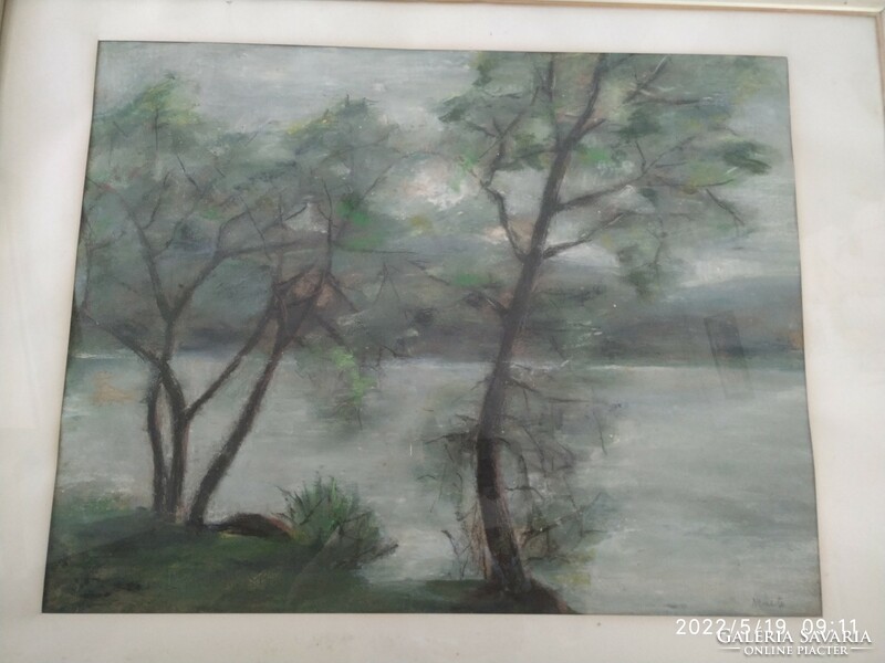 Zsuzsa Németh Danube bank c. Picture painting
