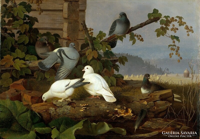 Von wright - pigeons - canvas reprint on scratch card