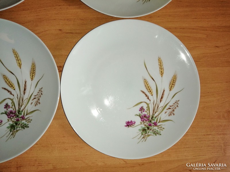 Jlmenau porcelain wheat pattern flat plate 4 pcs in one 23.5 cm (2p)