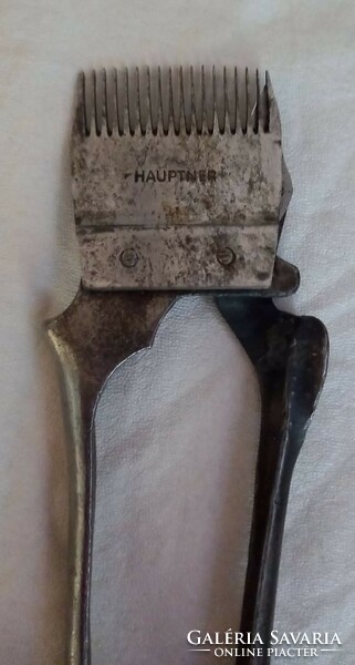 Hauptner hand dog or sheep shears