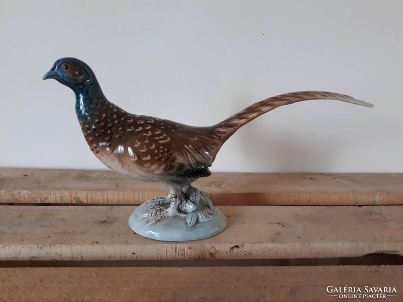 Huge royal dux pheasant 35 cm