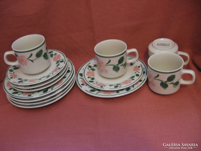 4 trio set+2 plates wild rose porcelain original design vier jahreszeiten 14 pieces
