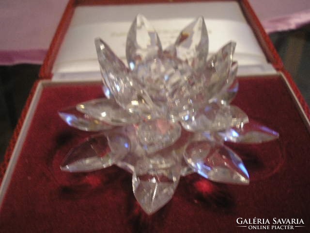 Crystal waterlily, large leaf weight