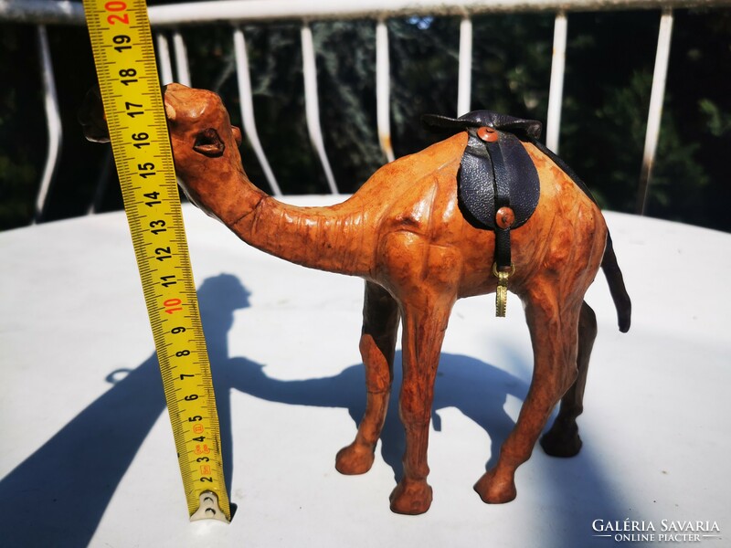 Leather camel, dromedary