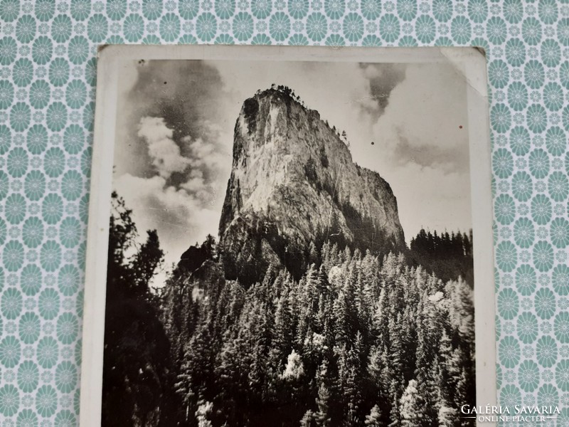 Old postcard 1942 wine chair killer lake photo postcard