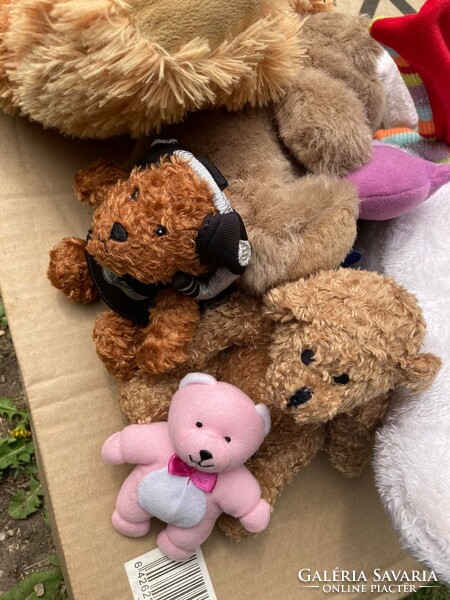 Teddy bear package