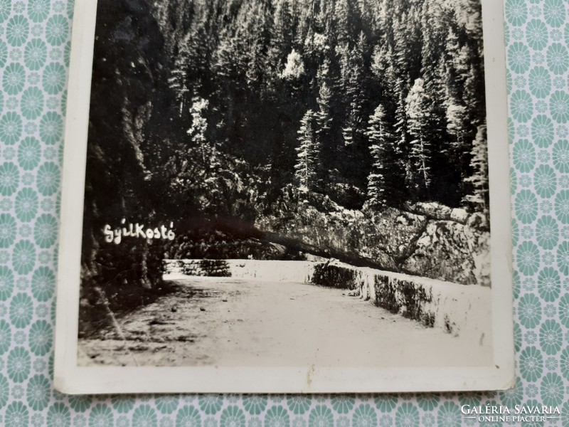 Old postcard 1942 wine chair killer lake photo postcard