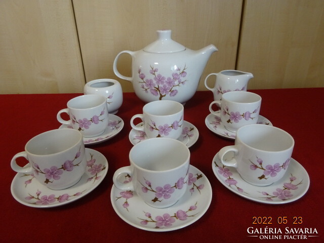 Alföldi porcelán hat személyes, rózsaszín virágos  kávéskészlet, 15 darabos. Vanneki! Jókai.