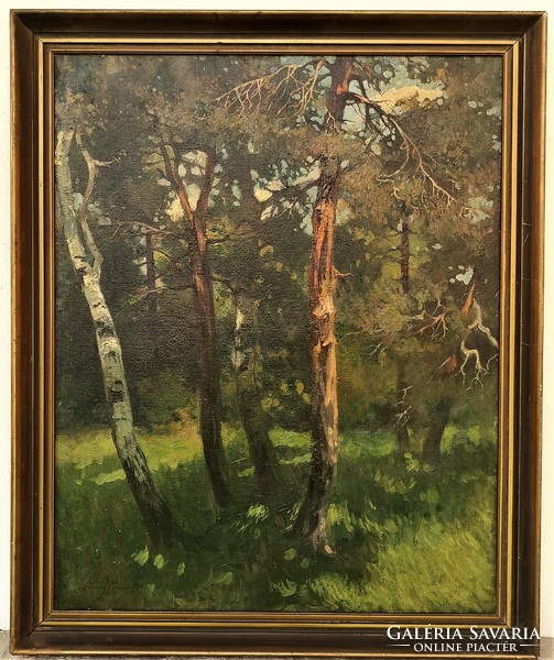 Ferenc Pogány (1886 - 1930) forest interior 1911 c. Painting with original guarantee!