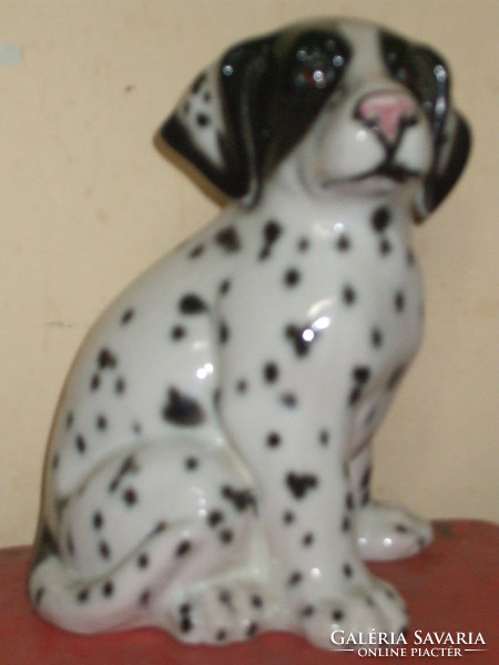 Large Dalmatian dog