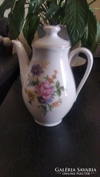 German coffee pot with wild roses